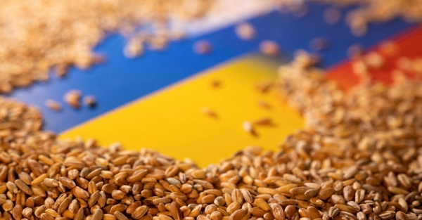 Зерновий експорт України під загрозою через масову корупцію в Держпродспоживслужбі